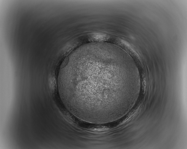 X0000097880459200803211337