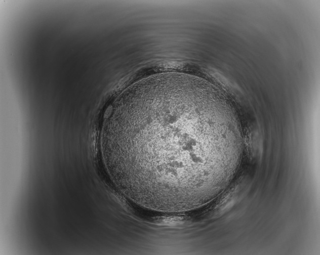 X0000097880462200803211338