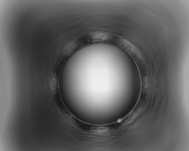 X0000097880463200803211338