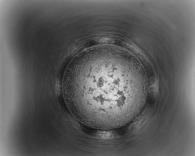 X0000097880469200803211338