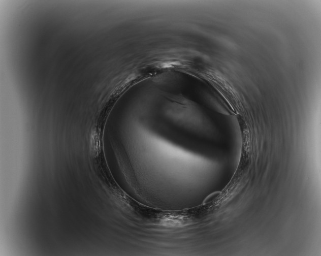 X0000097880471200803211338