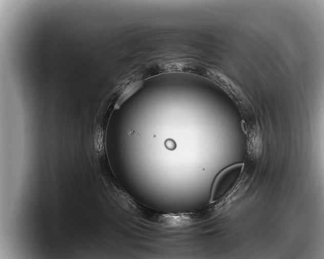 X0000097880477200803211338