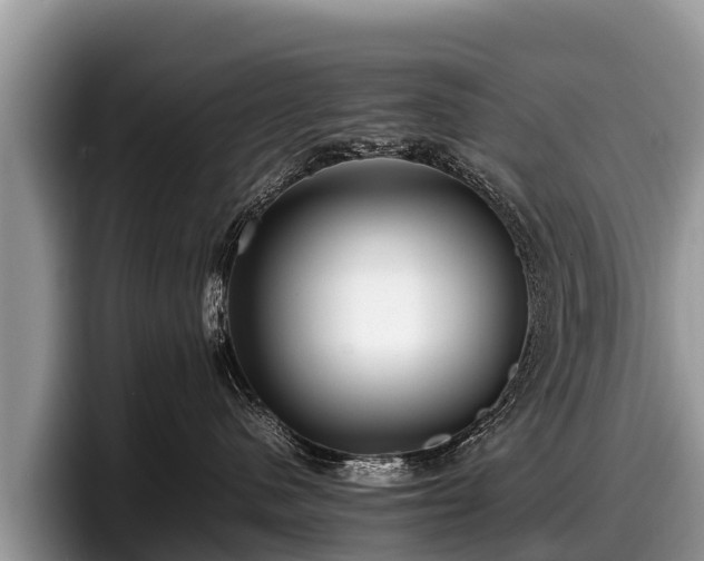 X0000097880480200803211338