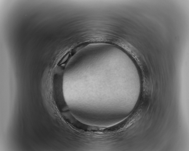 X0000097880481200803211337