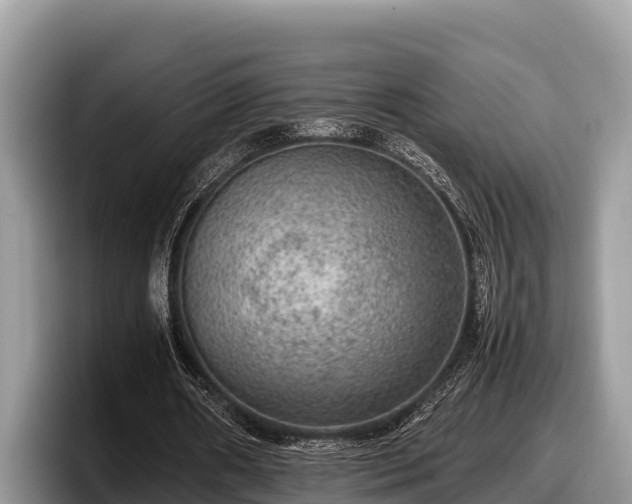 X0000097880482200803211337