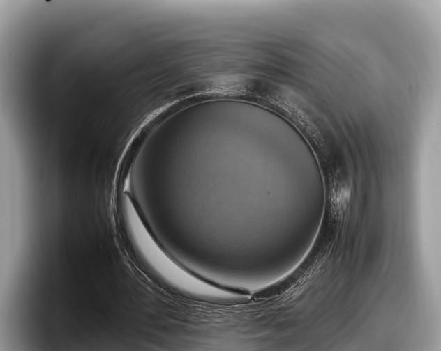 X0000097880484200803211337