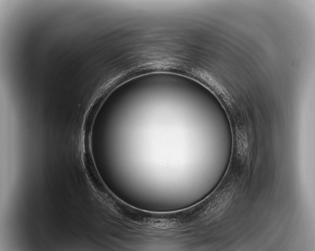 X0000097880486200803211337