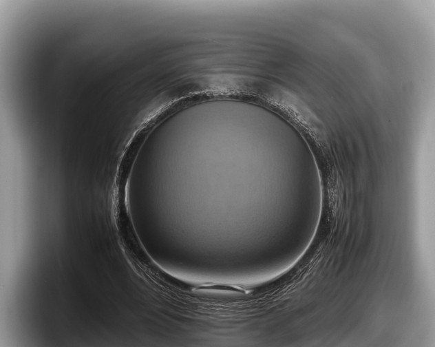 X0000097880488200803211337