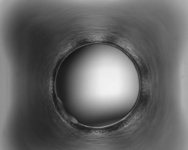 X0000097880489200803211337