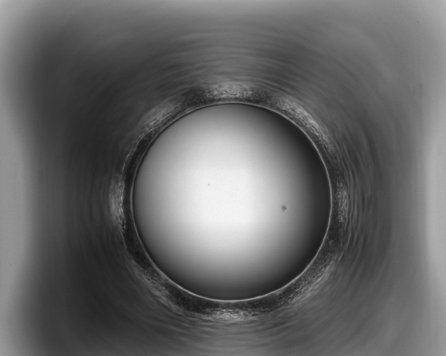 X0000097880490200803211337