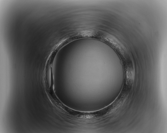 X0000097880492200803211337