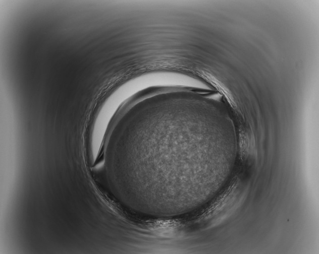 X0000097880493200803211337
