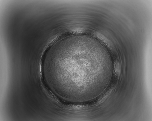 X0000097880494200803211337