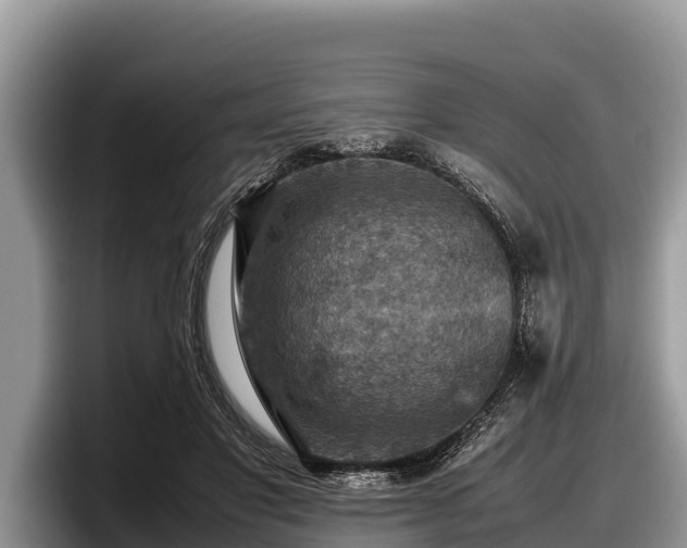 X0000097880501200803211337