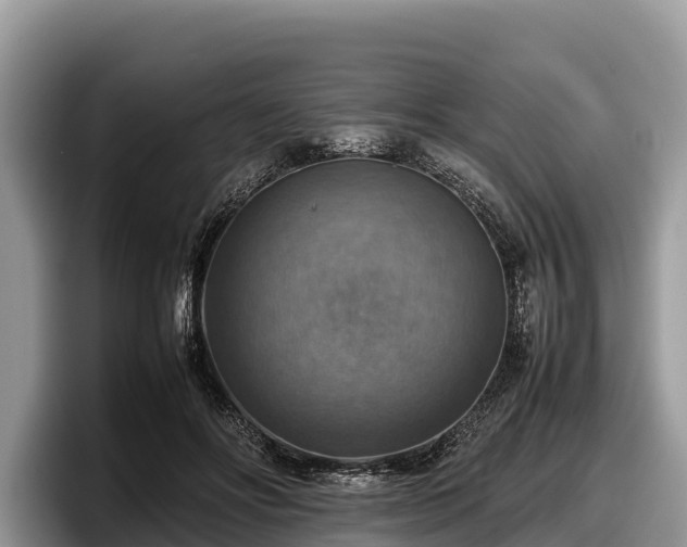 X0000097880502200803211337