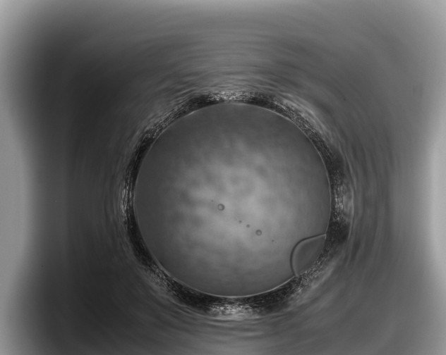 X0000097880503200803211337