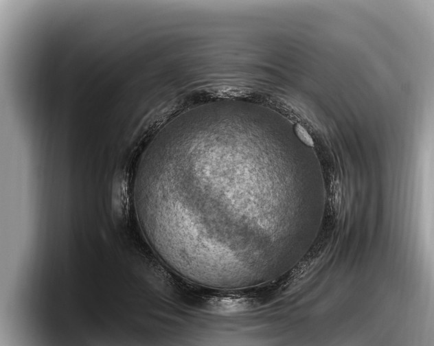 X0000097880506200803211337