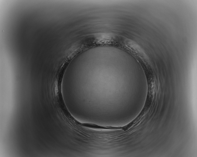 X0000097880508200803211337
