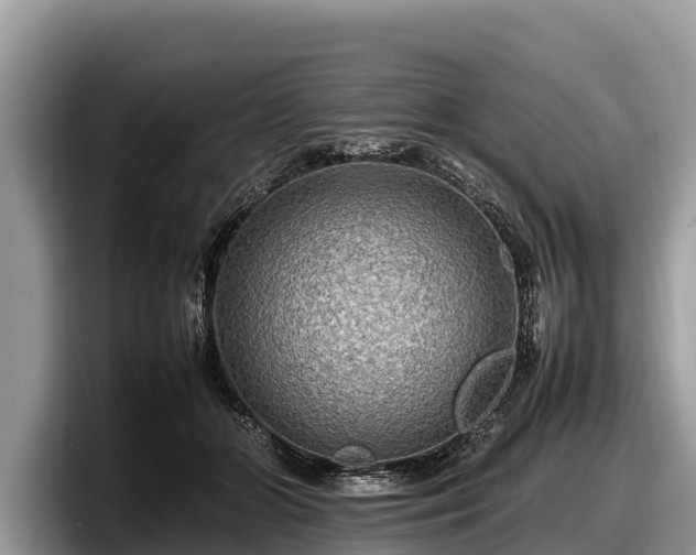 X0000097880510200803211337