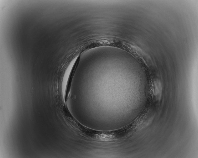 X0000097880512200803211337