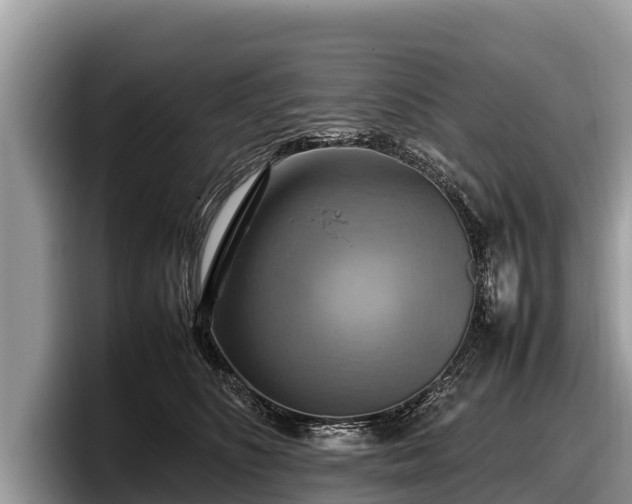 X0000097880516200803211337