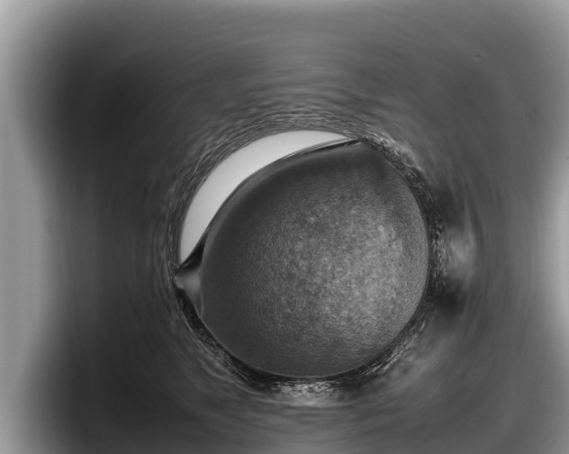 X0000097880517200803211337
