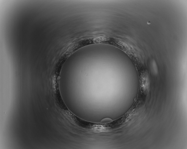 X0000097880519200803211337