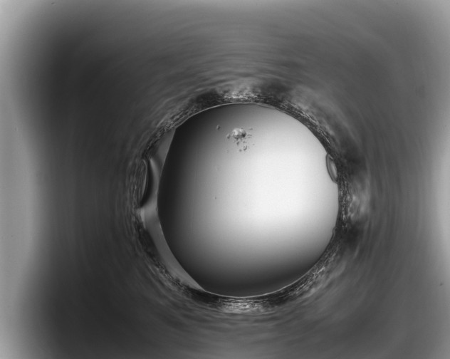 X0000097880521200803211337