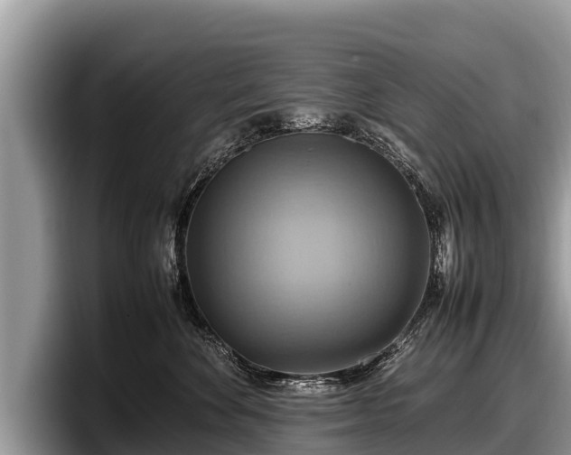 X0000097880524200803211337