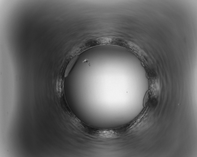 X0000097880525200803211337