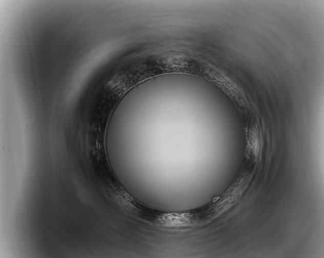 X0000097880526200803211337