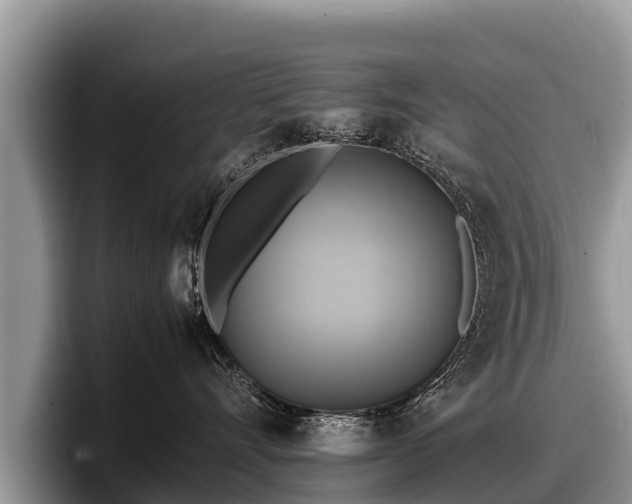 X0000097880528200803211337