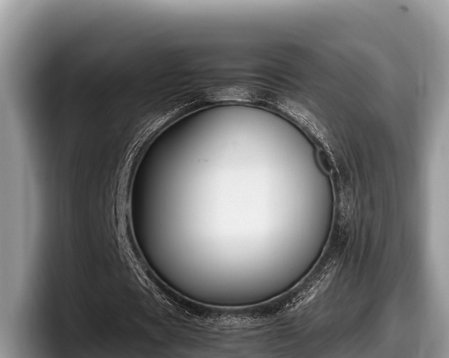 X0000097880529200803211336