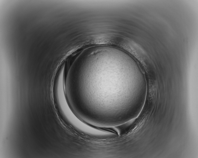 X0000097880530200803211336