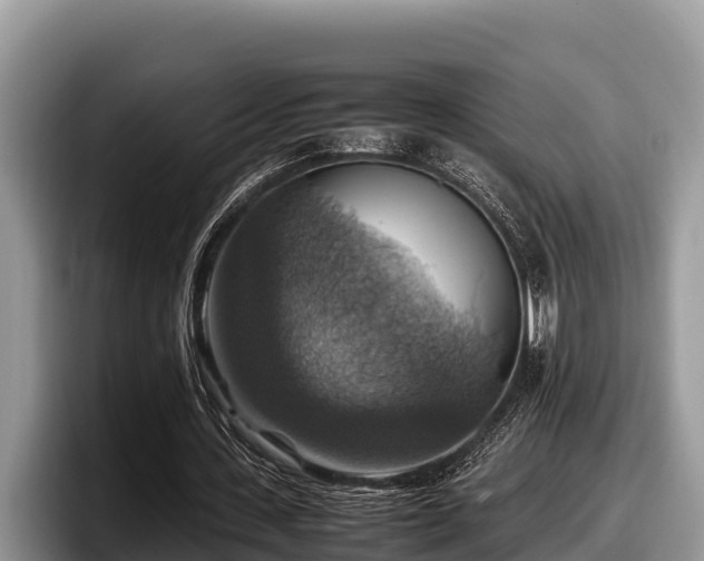 X0000097880531200803211336