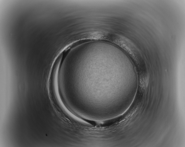 X0000097880532200803211336