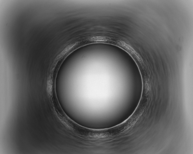 X0000097880533200803211336