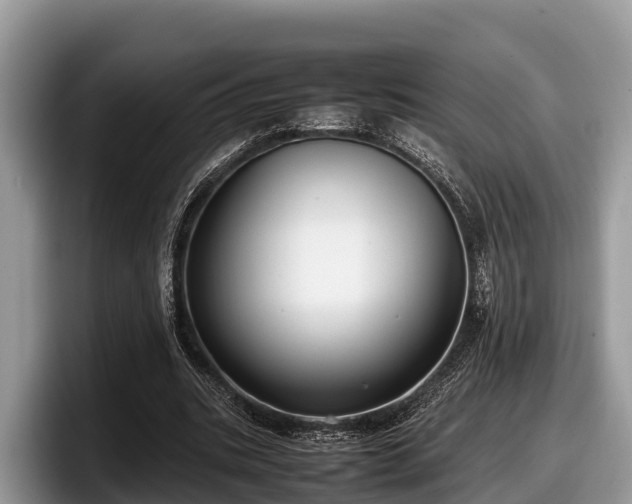 X0000097880535200803211336