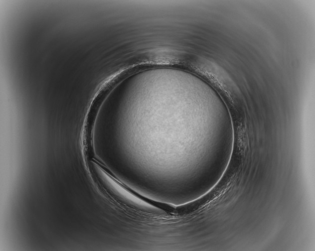 X0000097880536200803211336