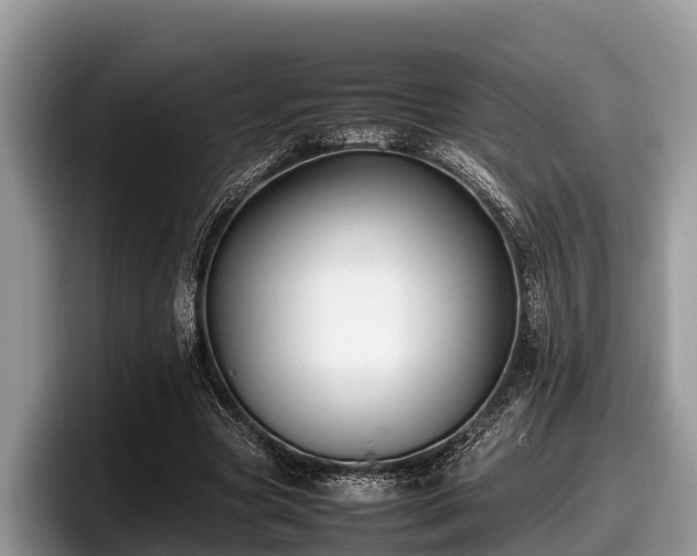 X0000097880537200803211336