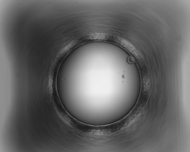 X0000097880538200803211336