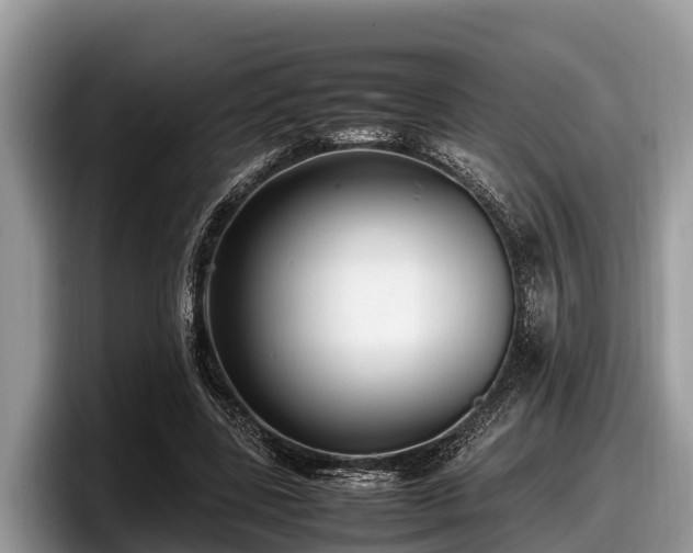X0000097880539200803211336