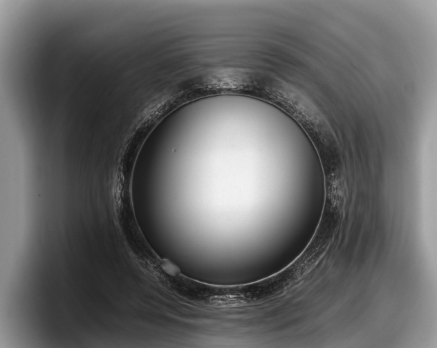 X0000097880544200803211336
