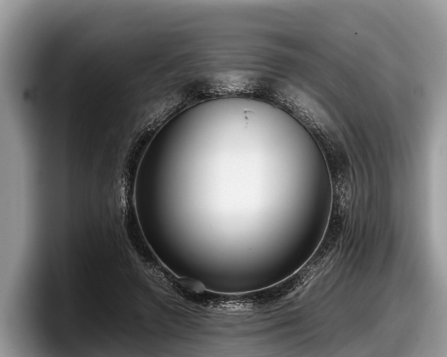 X0000097880546200803211336