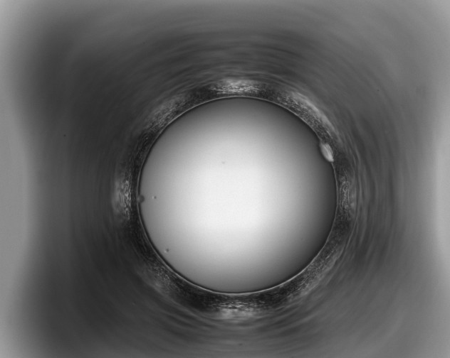 X0000097880549200803211336