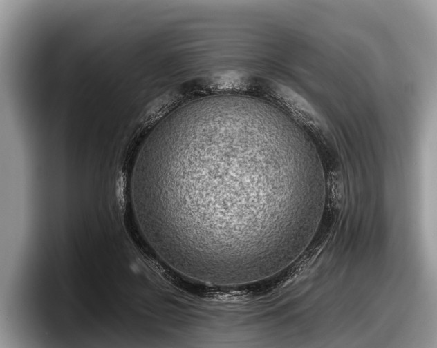 X0000097880550200803211336