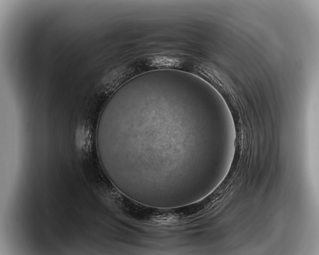 X0000097880551200803211336