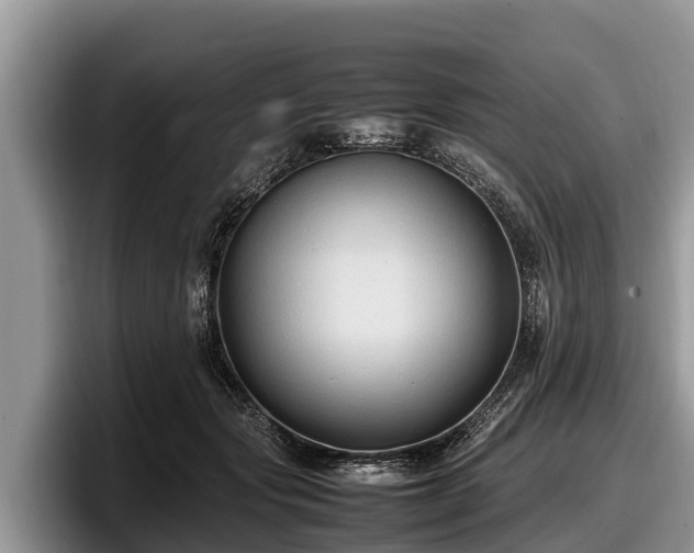 X0000097880557200803211336