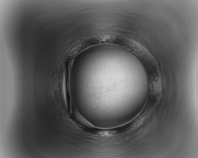 X0000097880558200803211336