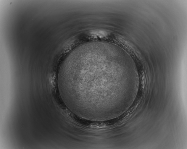X0000097880559200803211336